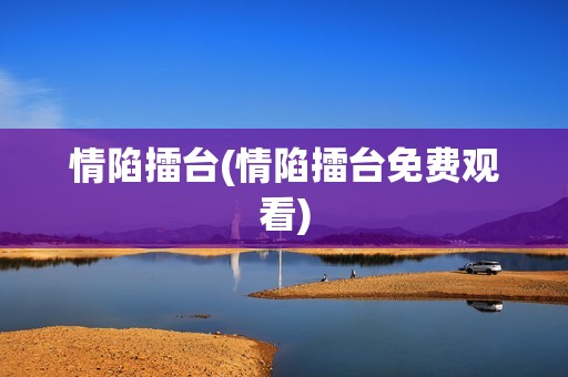 情陷擂台(情陷擂台免费观看)