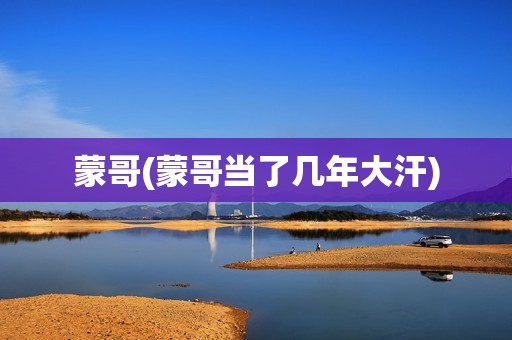 蒙哥(蒙哥当了几年大汗)