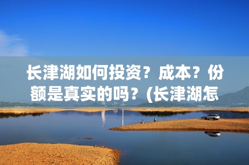 长津湖如何投资？成本？份额是真实的吗？(长津湖怎么参与投资)