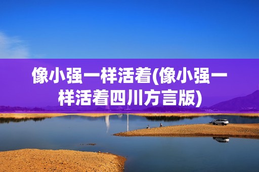 像小强一样活着(像小强一样活着四川方言版)