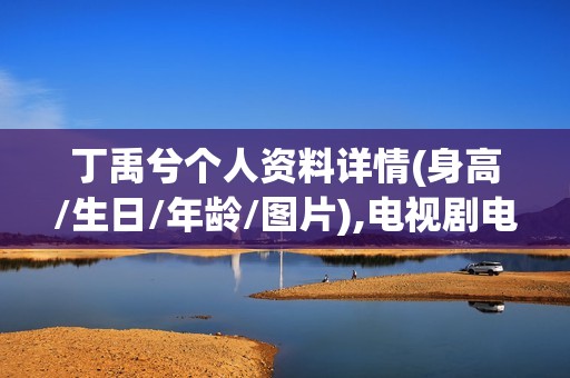 丁禹兮个人资料详情(身高/生日/年龄/图片),电视剧电影作品