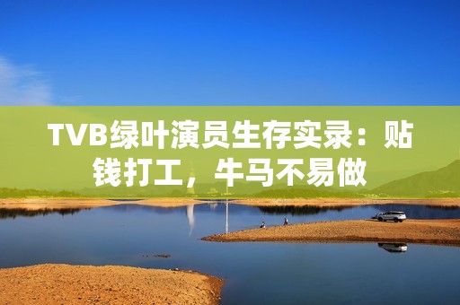 TVB绿叶演员生存实录：贴钱打工，牛马不易做