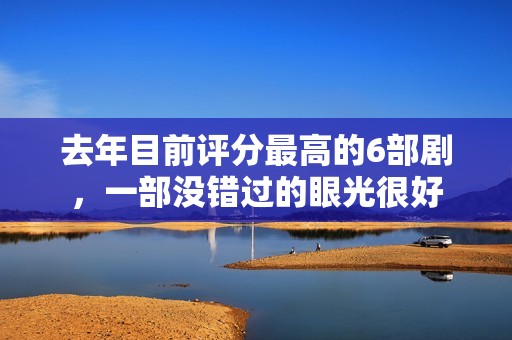 去年目前评分最高的6部剧，一部没错过的眼光很好