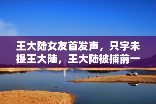 王大陆女友首发声，只字未提王大陆，王大陆被捕前一天两人曾约会