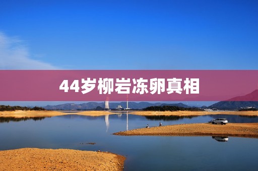 44岁柳岩冻卵真相