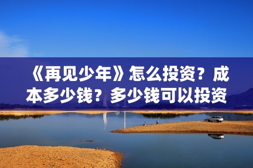 《再见少年》怎么投资？成本多少钱？多少钱可以投资？(再见少年到底怎么了)