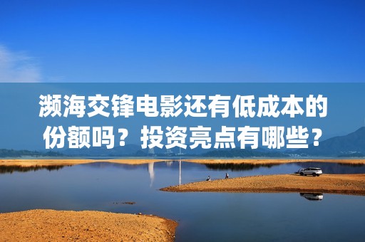 濒海交锋电影还有低成本的份额吗？投资亮点有哪些？(濒海交锋电影怎么样)