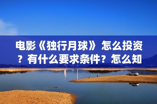 电影《独行月球》 怎么投资？有什么要求条件？怎么知道份额是不是真(电影独行月球剧情介绍)