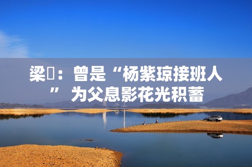 梁琤：曾是“杨紫琼接班人” 为父息影花光积蓄