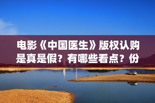 电影《中国医生》版权认购是真是假？有哪些看点？份额多少钱一份？(电影《中国医生》)