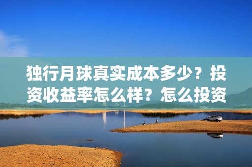 独行月球真实成本多少？投资收益率怎么样？怎么投资？(独行月球什么时候杀青)