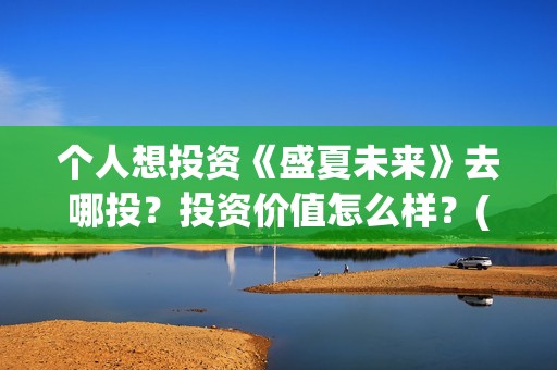 个人想投资《盛夏未来》去哪投？投资价值怎么样？(个人投资做什么好)