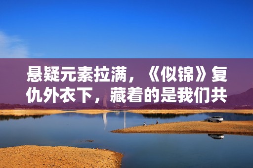 悬疑元素拉满，《似锦》复仇外衣下，藏着的是我们共通的价值证明