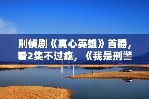 刑侦剧《真心英雄》首播，看2集不过瘾，《我是刑警》有对手了