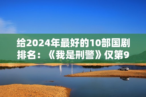 给2024年最好的10部国剧排名：《我是刑警》仅第9