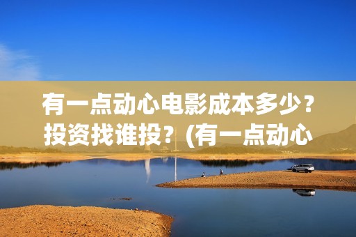 有一点动心电影成本多少？投资找谁投？(有一点动心电影完整版)