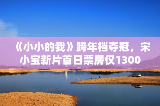 《小小的我》跨年档夺冠，宋小宝新片首日票房仅1300万，回本无望