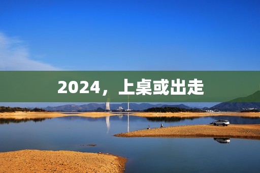 2024，上桌或出走