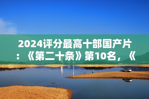 2024评分最高十部国产片：《第二十条》第10名，《破地狱》第3名
