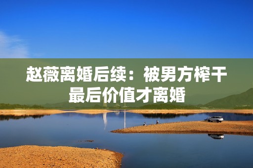 赵薇离婚后续：被男方榨干最后价值才离婚