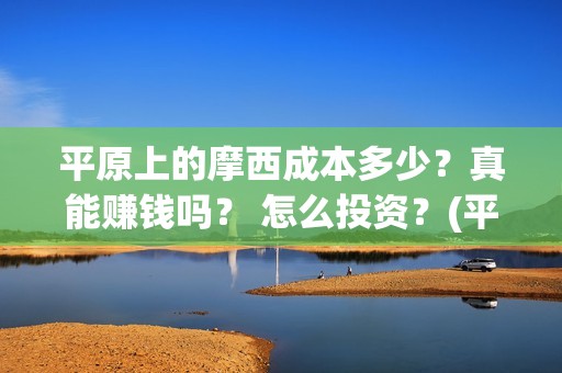 平原上的摩西成本多少？真能赚钱吗？ 怎么投资？(平原上的摩西摩西什么意思)