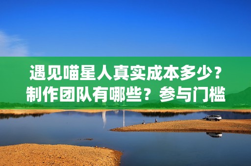 遇见喵星人真实成本多少？制作团队有哪些？参与门槛高吗？(《遇见喵星人》)