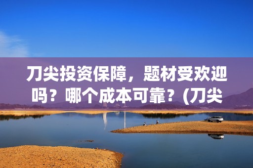 刀尖投资保障，题材受欢迎吗？哪个成本可靠？(刀尖2021)