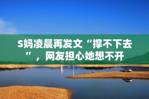 S妈凌晨再发文“撑不下去”，网友担心她想不开