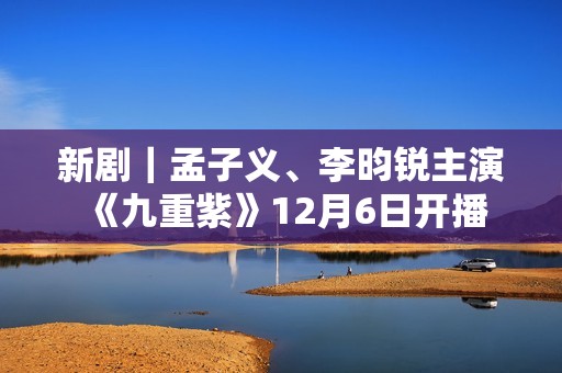 新剧｜孟子义、李昀锐主演《九重紫》12月6日开播