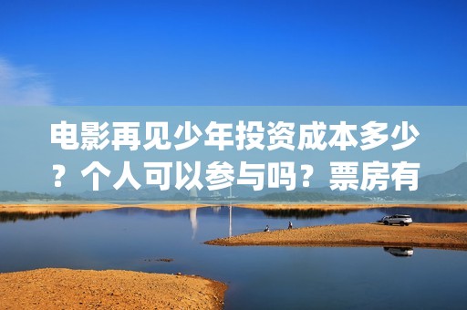 电影再见少年投资成本多少？个人可以参与吗？票房有保障吗？(电影再见少年投屏观看)