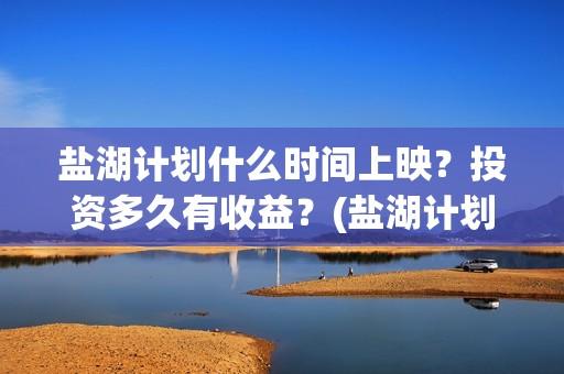 盐湖计划什么时间上映？投资多久有收益？(盐湖计划电影演员)