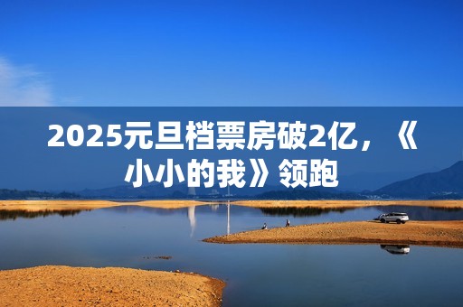 2025元旦档票房破2亿，《小小的我》领跑