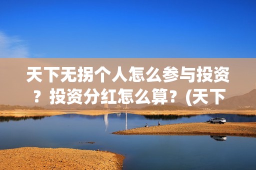 天下无拐个人怎么参与投资？投资分红怎么算？(天下无拐赞助商)