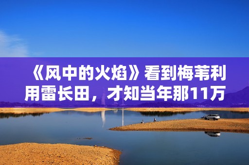 《风中的火焰》看到梅苇利用雷长田，才知当年那11万到底被谁拿走