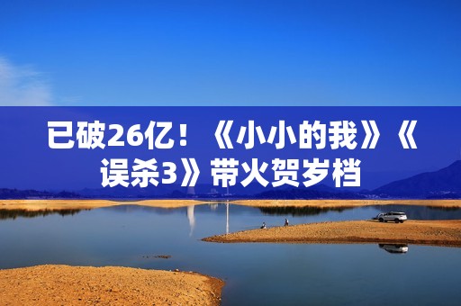 已破26亿！《小小的我》《误杀3》带火贺岁档