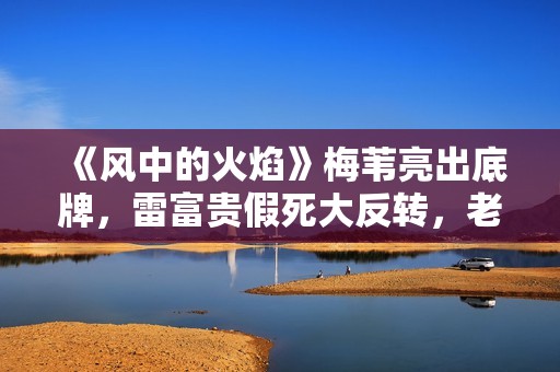 《风中的火焰》梅苇亮出底牌，雷富贵假死大反转，老褚这步棋太高