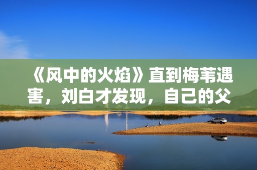 《风中的火焰》直到梅苇遇害，刘白才发现，自己的父亲还活着