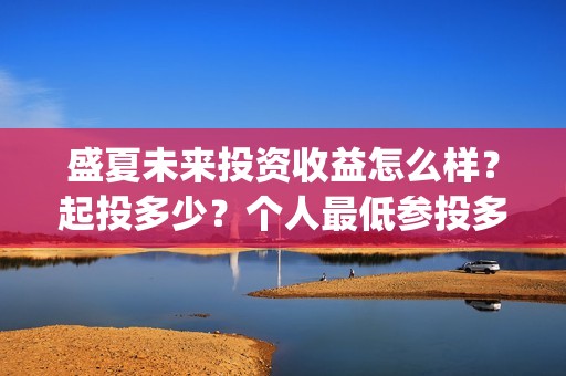 盛夏未来投资收益怎么样？起投多少？个人最低参投多少？(盛夏未来总投资)