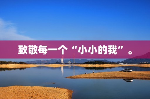 致敬每一个“小小的我”。