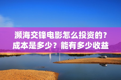 濒海交锋电影怎么投资的？成本是多少？能有多少收益(濒海交锋电影视频)