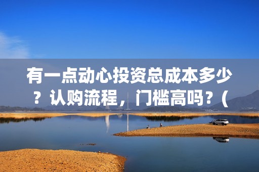 有一点动心投资总成本多少？认购流程，门槛高吗？(有一点动心出品方)