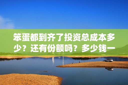 笨蛋都到齐了投资总成本多少？还有份额吗？多少钱一份？(笨蛋idiot)