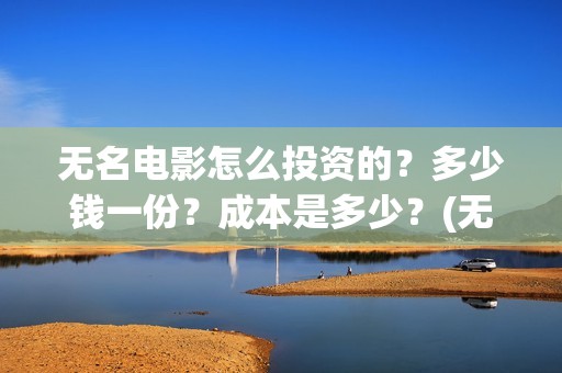 无名电影怎么投资的？多少钱一份？成本是多少？(无名 电影)