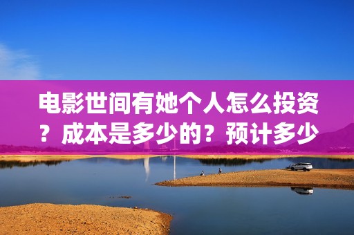 电影世间有她个人怎么投资？成本是多少的？预计多少票房？(世间有她电影现在什么情况)