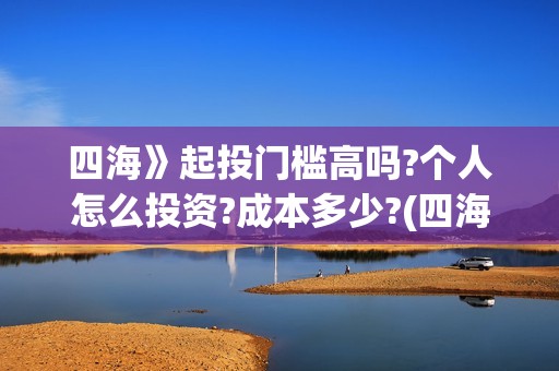 四海》起投门槛高吗?个人怎么投资?成本多少?(四海的出品方)