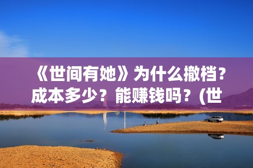 《世间有她》为什么撤档？成本多少？能赚钱吗？(世间有她女主角)