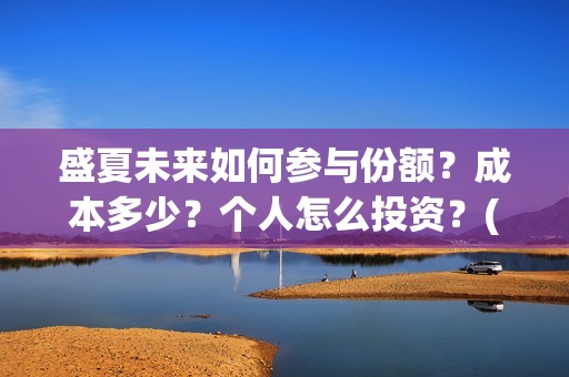 盛夏未来如何参与份额？成本多少？个人怎么投资？(盛夏未来怎样)