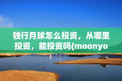 独行月球怎么投资，从哪里投资，能投资吗(moonyou-独行月球)