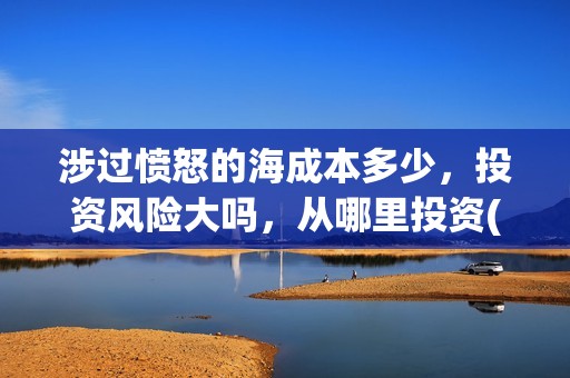 涉过愤怒的海成本多少，投资风险大吗，从哪里投资(涉过愤怒的海最后的结局)