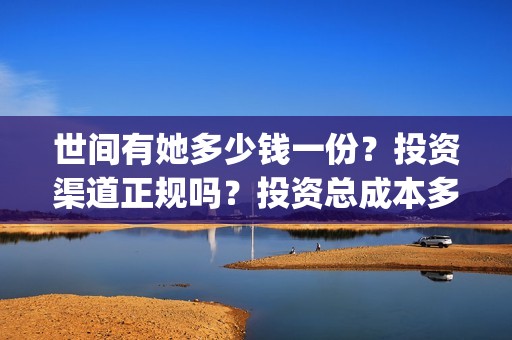 世间有她多少钱一份？投资渠道正规吗？投资总成本多少？(世间有她成本多少)